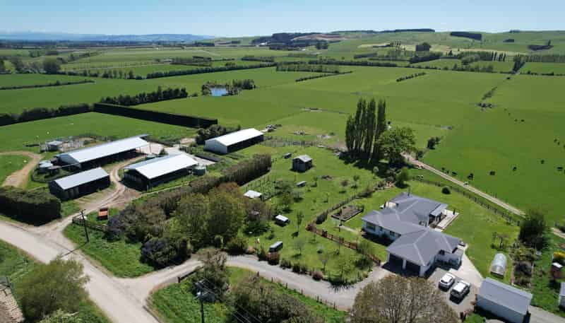 69 Livingstone Road, Winton