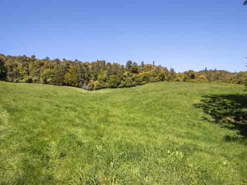 43B Walls Road, Waihi