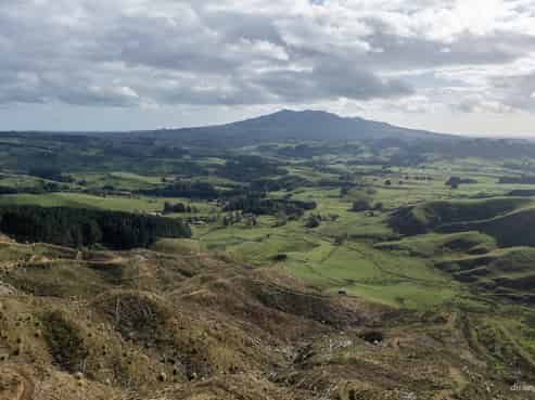  Pond Road, Raglan