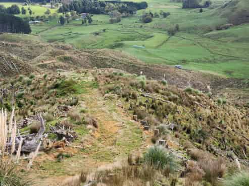  Pond Road, Raglan