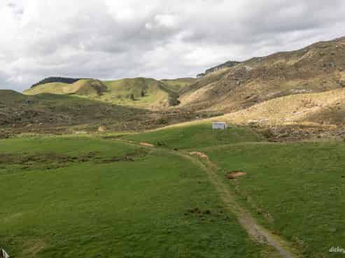  Pond Road, Raglan