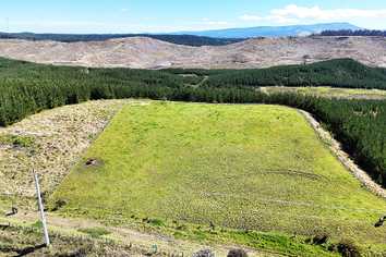 Lot 3 Babylon Coast Road, Dargaville