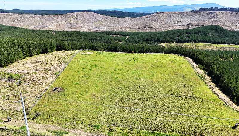 Lot 3 Babylon Coast Road, Dargaville