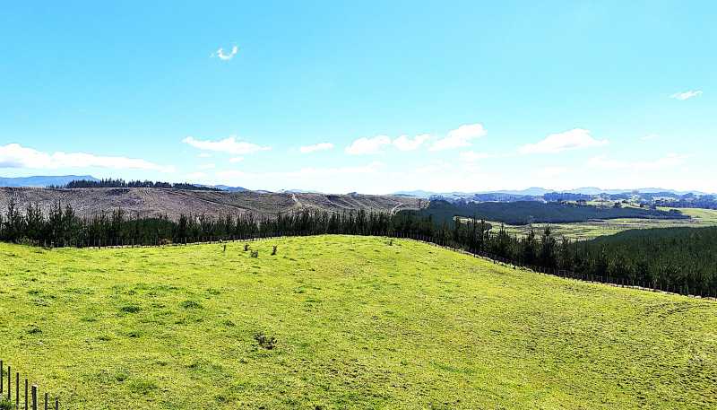 Lot 3 Babylon Coast Road, Dargaville