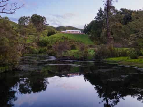 294 Dods Road, Waikite Valley