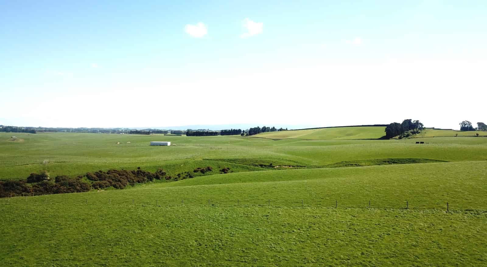 1743 Clinton Highway, Waiwera South, Clutha For Sale realestate.co.nz