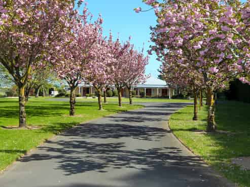 1262 Maraekakaho Road, Longlands