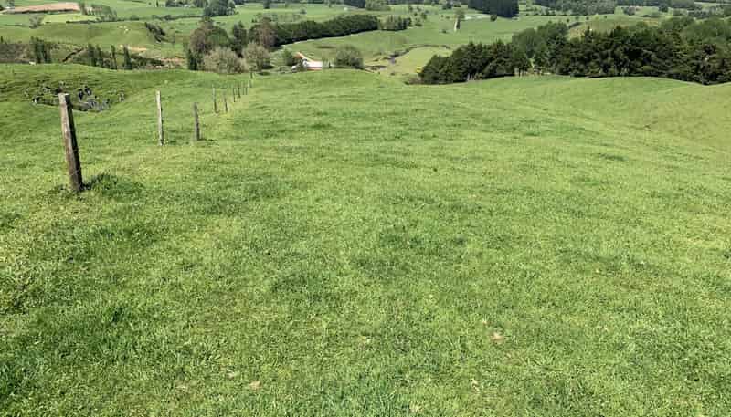 2896 State Highway 3, Awakino