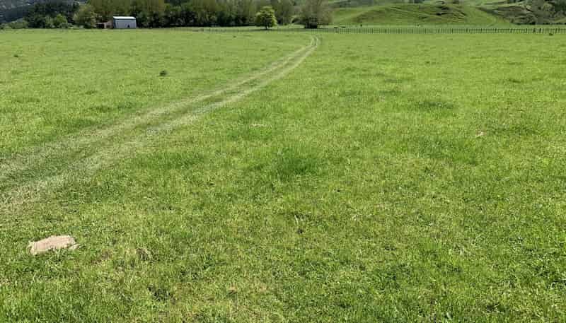 2896 State Highway 3, Awakino