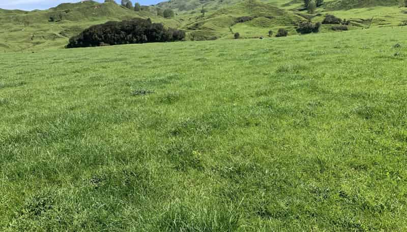 2896 State Highway 3, Awakino