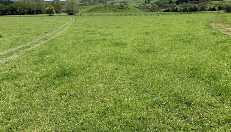 2896 State Highway 3, Awakino
