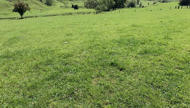 2896 State Highway 3, Awakino