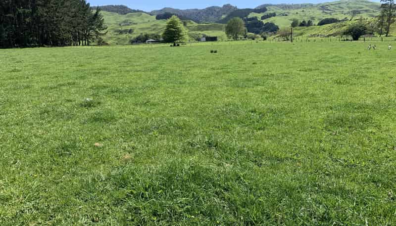 2896 State Highway 3, Awakino