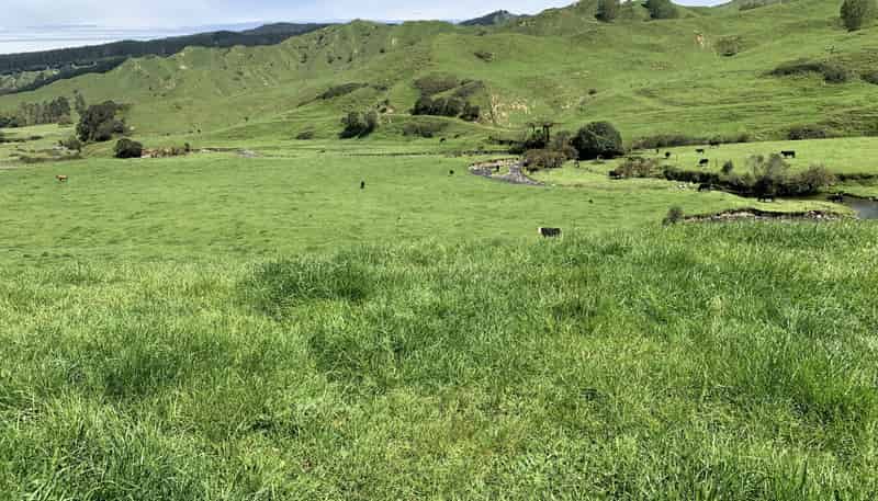 2896 State Highway 3, Awakino
