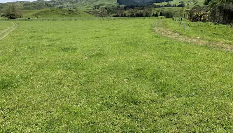 2896 State Highway 3, Awakino