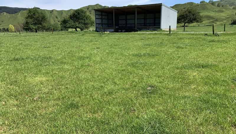 2896 State Highway 3, Awakino