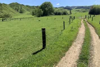 2896 State Highway, Awakino