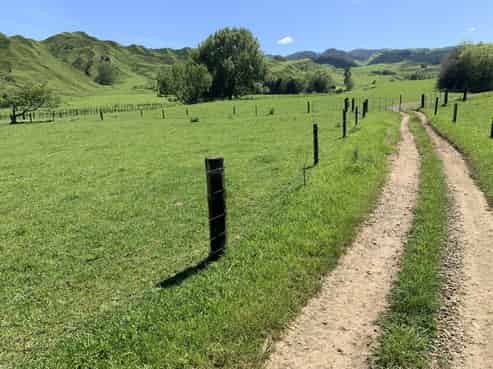 2896 State Highway 3, Mahoenui