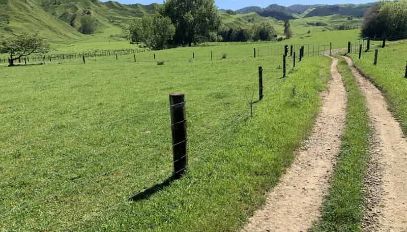 2896 State Highway, Awakino