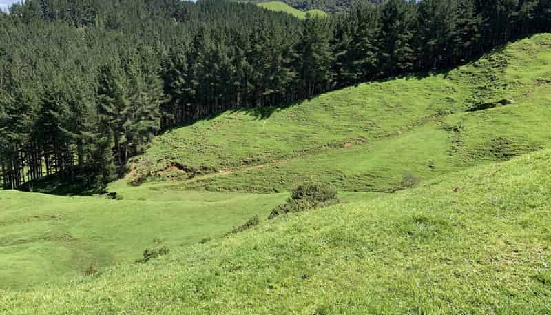 2896 State Highway 3, Awakino