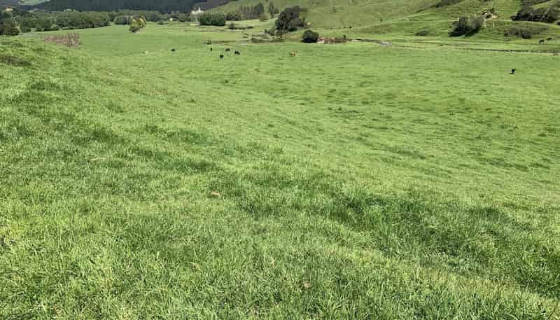 2896 State Highway 3, Awakino