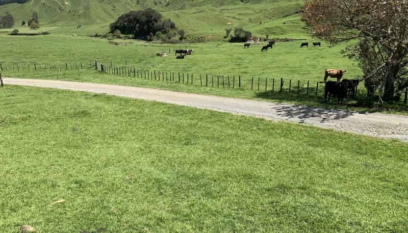 2896 State Highway 3, Awakino