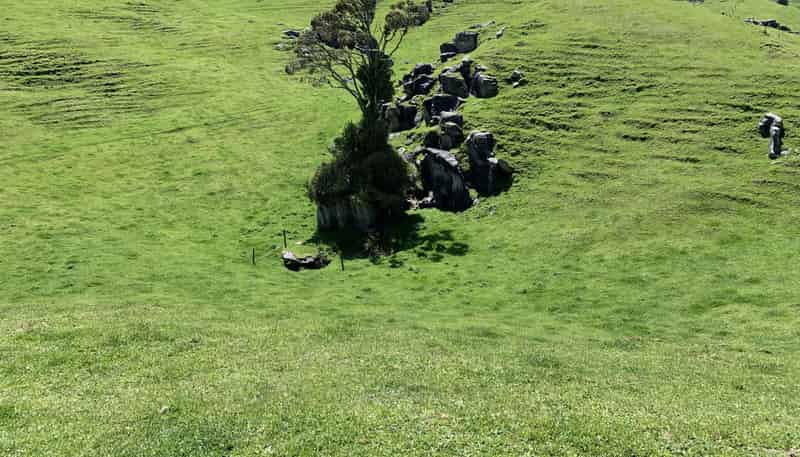 2896 State Highway 3, Awakino