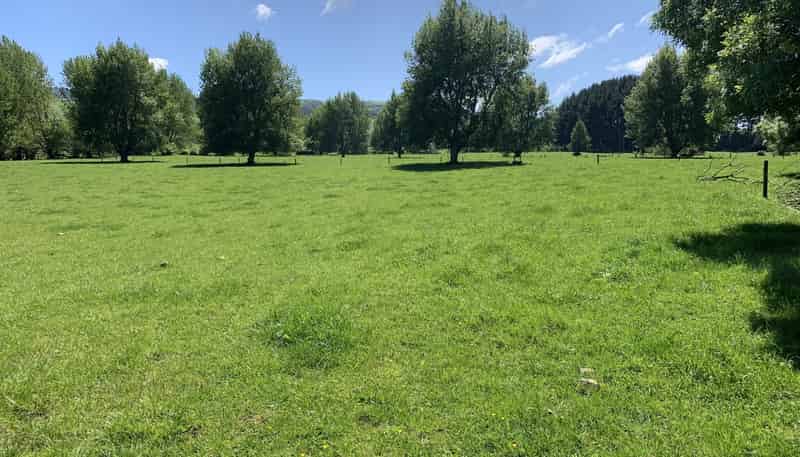 2896 State Highway 3, Awakino