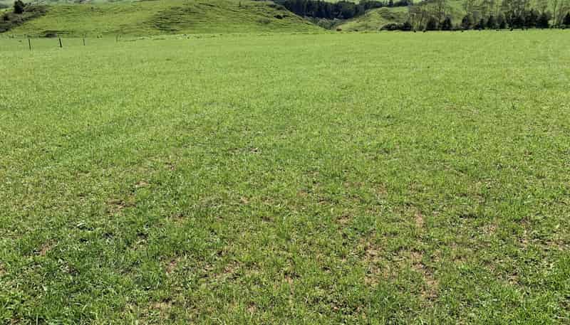 2896 State Highway 3, Awakino
