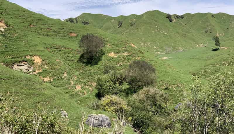 2896 State Highway 3, Awakino