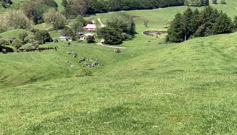 2896 State Highway 3, Awakino