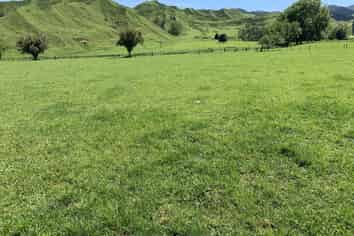 2896 State Highway, Awakino