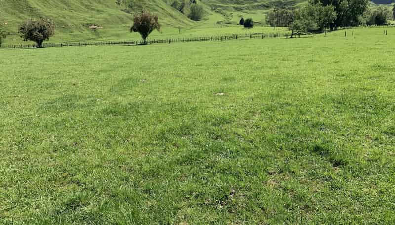 2896 State Highway 3, Awakino