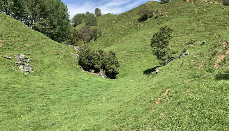 2896 State Highway 3, Awakino