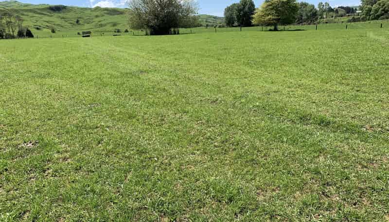 2896 State Highway 3, Awakino