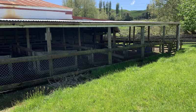 2896 State Highway 3, Awakino