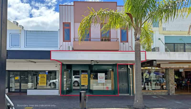 148 Emerson Street South, Napier South