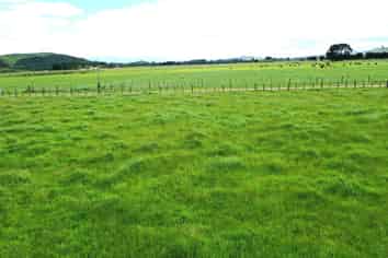 8 Horseshoe Lane, Pahiatua