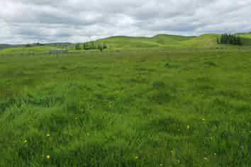 8 Horseshoe Lane, Pahiatua