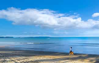 236  Hibiscus Coast Highway, Orewa