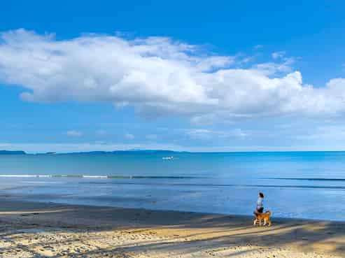 236  Hibiscus Coast Highway, Orewa