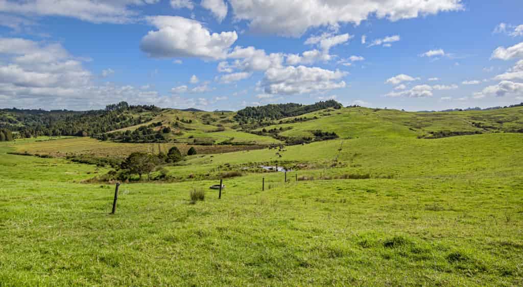 28 & 60 Horahora Road, Maromaku, Far North For Sale realestate.co.nz