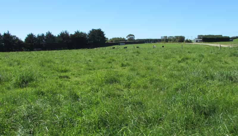  Pryde Road, Maitland