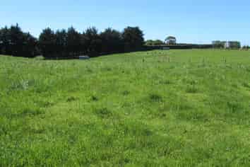  Pryde Road, Maitland