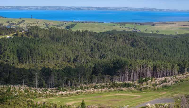 195 Tuhirangi Road, Makarau