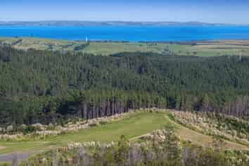 197 Tuhirangi Road, Makarau