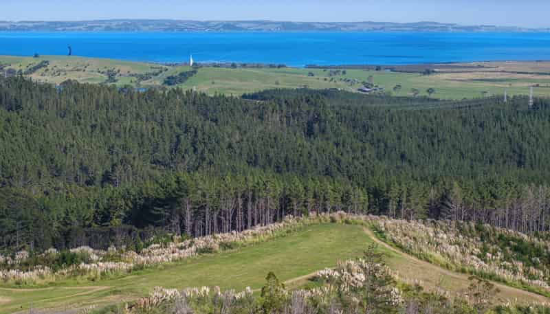 197 Tuhirangi Road, Makarau