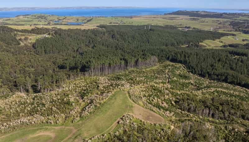 197 Tuhirangi Road, Makarau