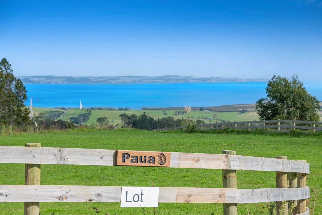 Space, Serenity & Stunning Sea Views- Paua - Lot 4 - Aanzicht 6
