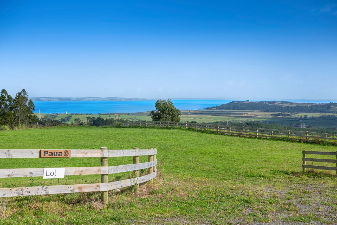 Space, Serenity & Stunning Sea Views- Paua - Lot 4 - Meer